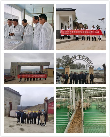 initpintu_副本.jpg