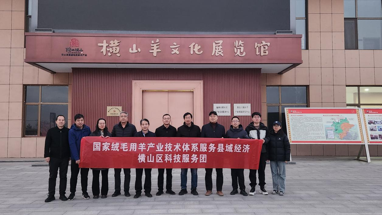 图片 4.png