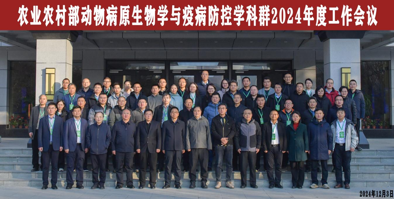 图片 1.png