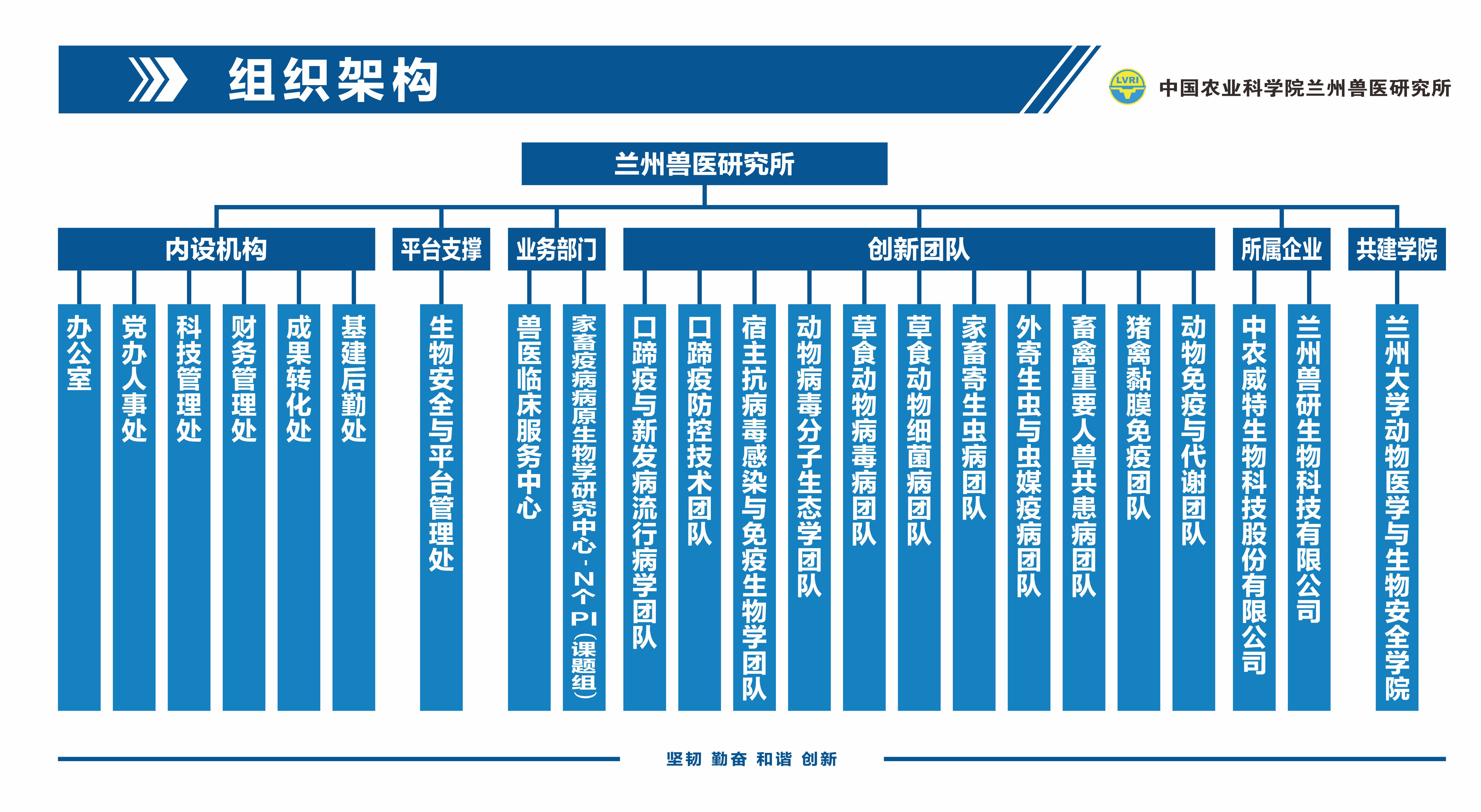 组织架构 蓝.jpg