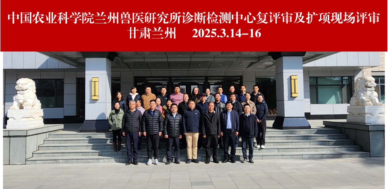 图片 2.png