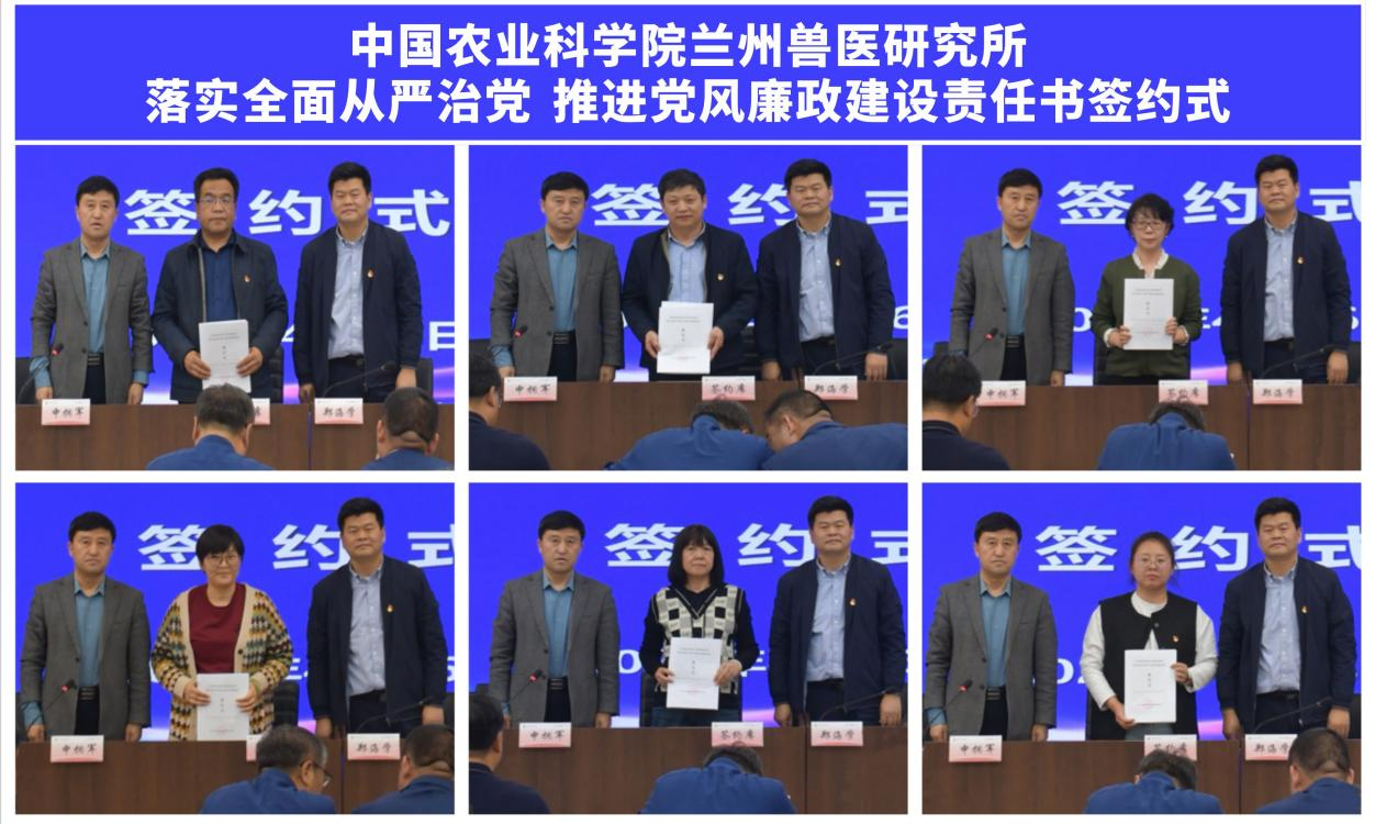 图片 3.png