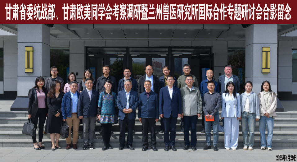 图片 4.png