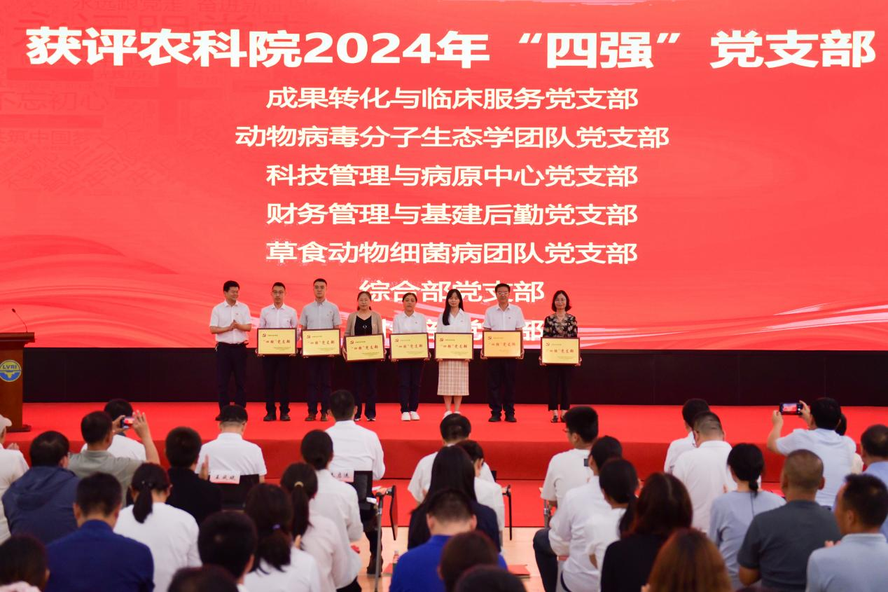 图片 4.png